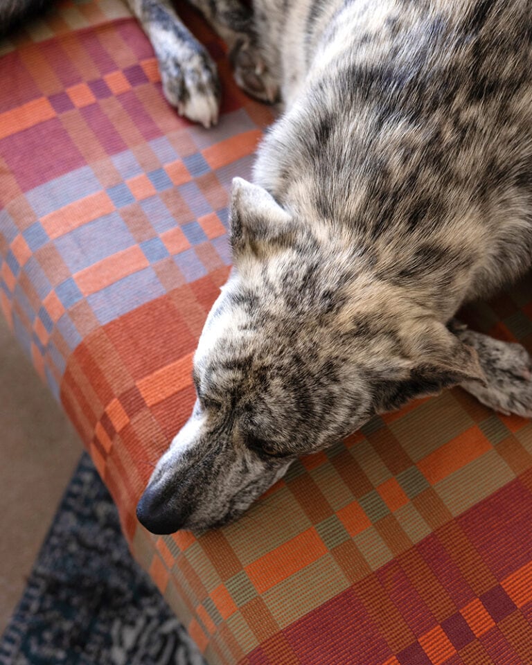 Fido Throw Blanket - Ginger