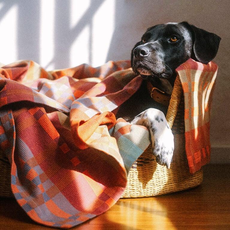 Fido Throw Blanket - Ginger